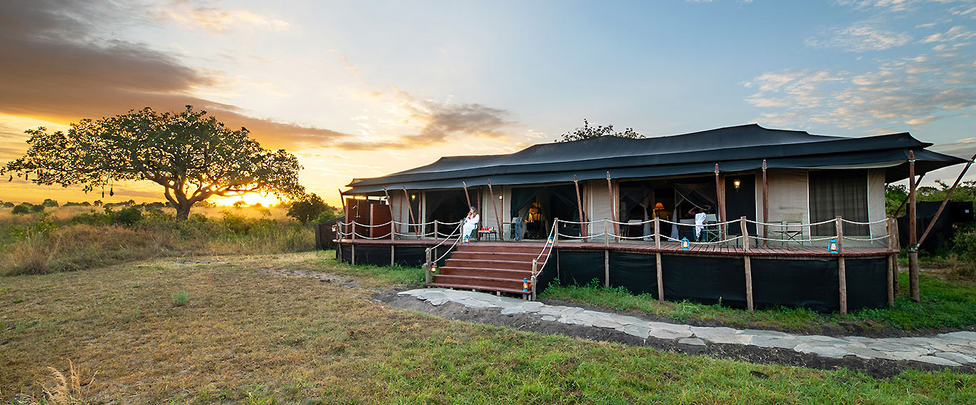 Wildlife Safari Wildlife Safari