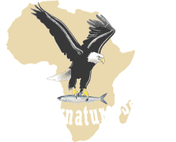 Wild Signature Safari