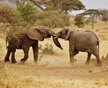 10-Days-Wilderness-Treausre