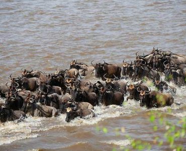 12-Days-Wilderness-Experien