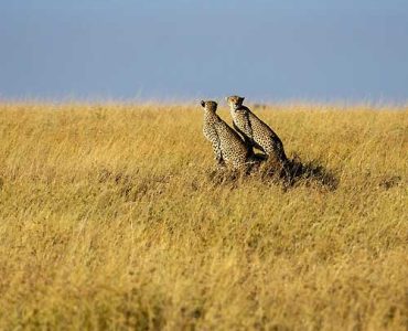 16-Day-Grand-East-Africa-To