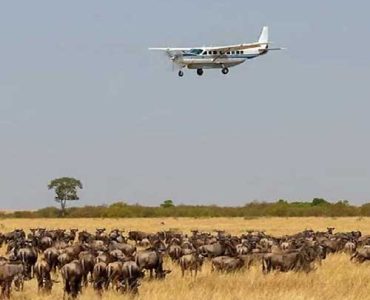 10 Days of Wild Discovery