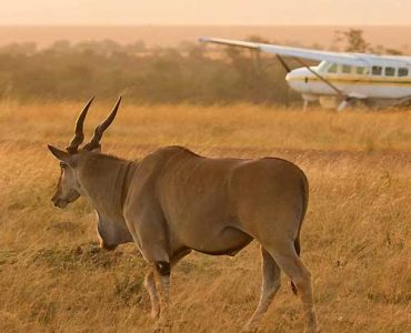 10 Days Family Adventure