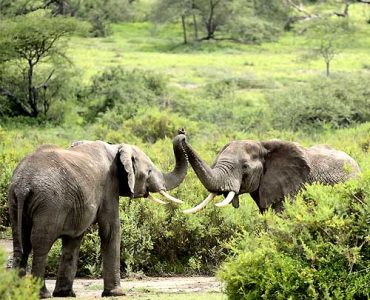 10 Days Intrepid Expedition