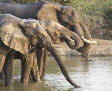 9 Days Wilderness Escapades