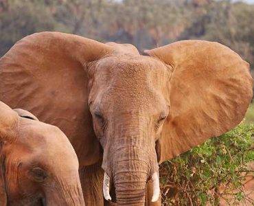 6 Days Pristine Wilderness